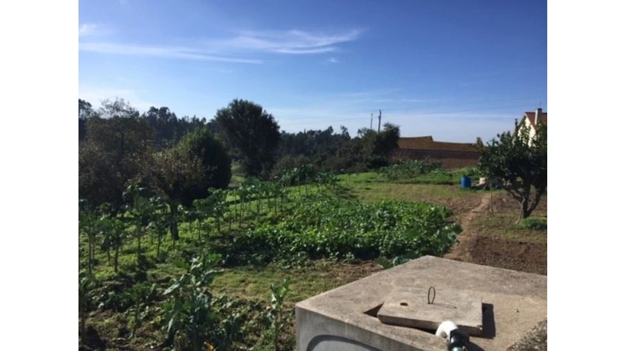 Terreno para Venda em Caranguejeira Foto 4
