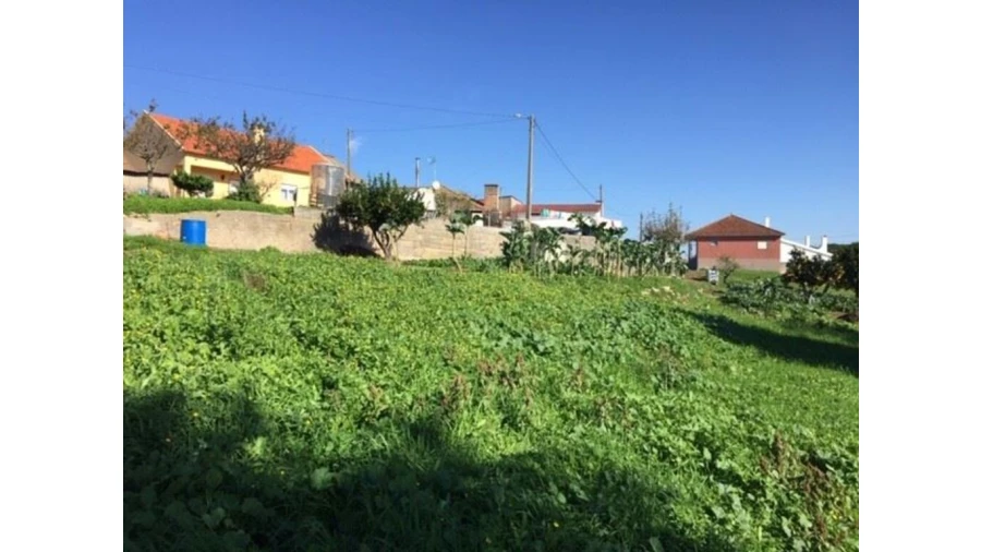 Terreno para Venda em Caranguejeira Foto 3