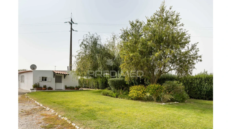 Quinta T4 para Venda em Poceirão e Marateca Foto 6