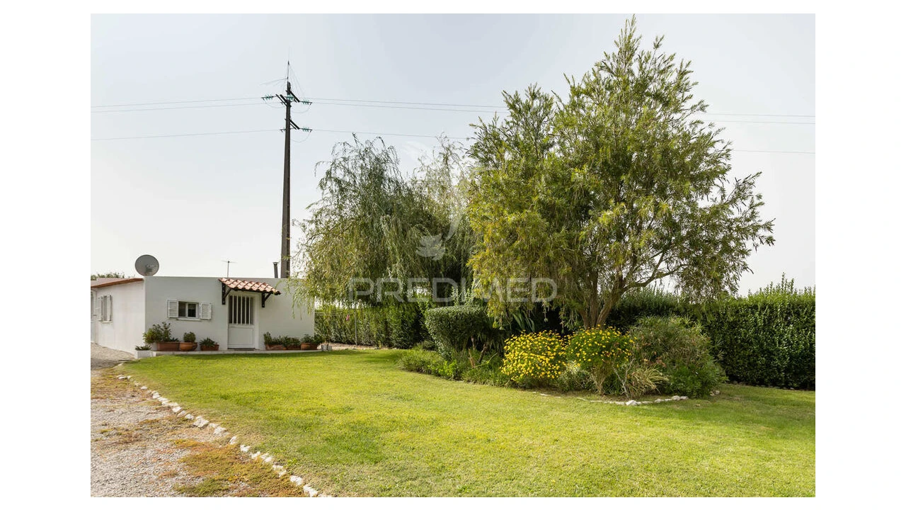 Quinta T4 para Venda em Poceirão e Marateca Foto 6