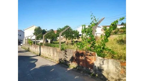 Terreno para Venda em São Martinho de Árvore e Lamarosa
