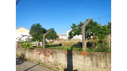 Terreno para Venda em São Martinho de Árvore e Lamarosa