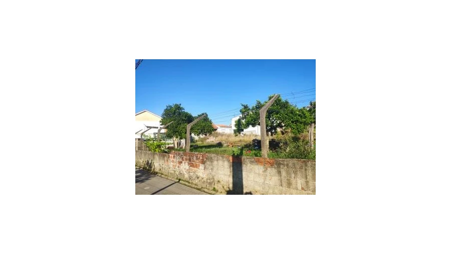 Terreno para Venda em São Martinho de Árvore e Lamarosa Foto 2