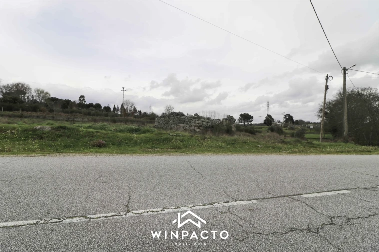 Terreno para Venda em Senhorim Foto 5