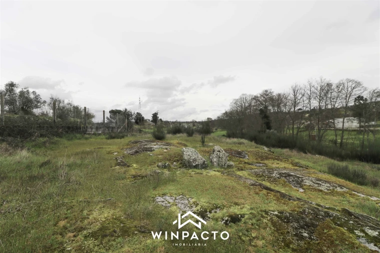 Terreno para Venda em Senhorim Foto 12