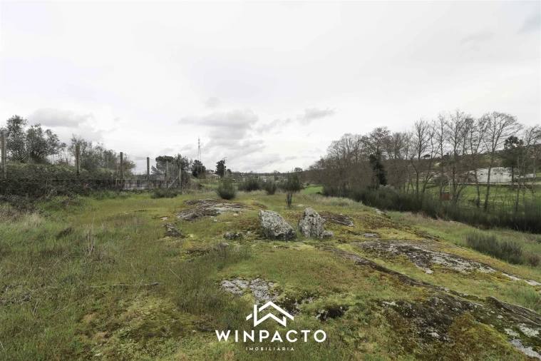 Terreno para Venda em Senhorim Foto 13