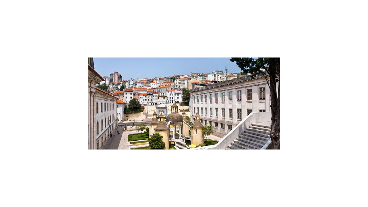 Terreno para Venda em São Martinho do Bispo e Ribeira de Frades Foto 12