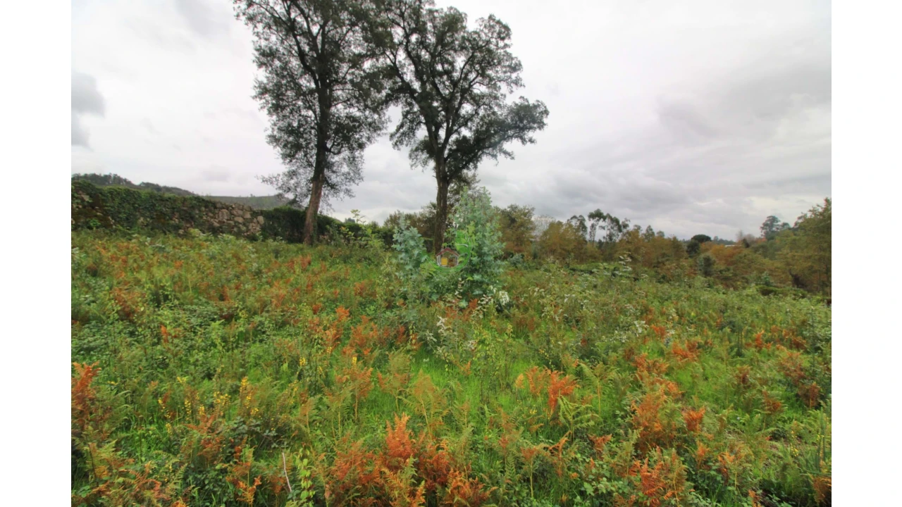 Terreno para Venda em Pico Foto 2