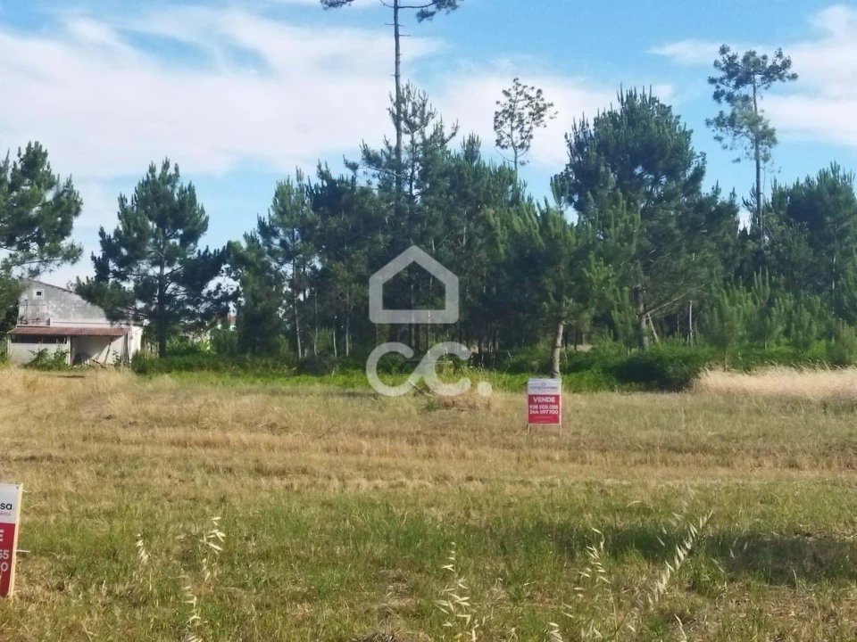 Terreno para Venda em Vieira de Leiria Foto 2
