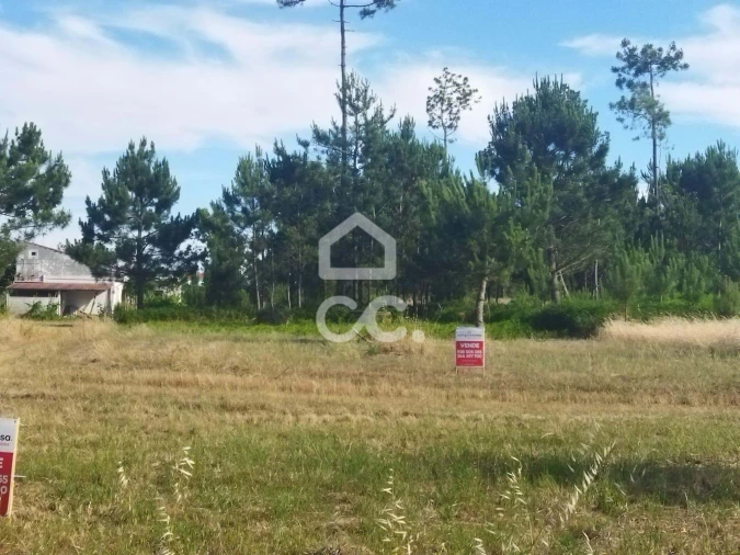 Terreno para Venda em Vieira de Leiria Foto 2