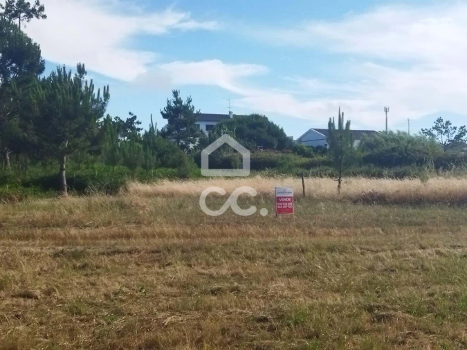Terreno para Venda em Vieira de Leiria Foto 6