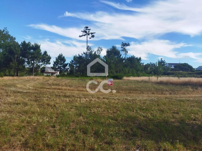 Terreno para Venda em Vieira de Leiria Foto 8