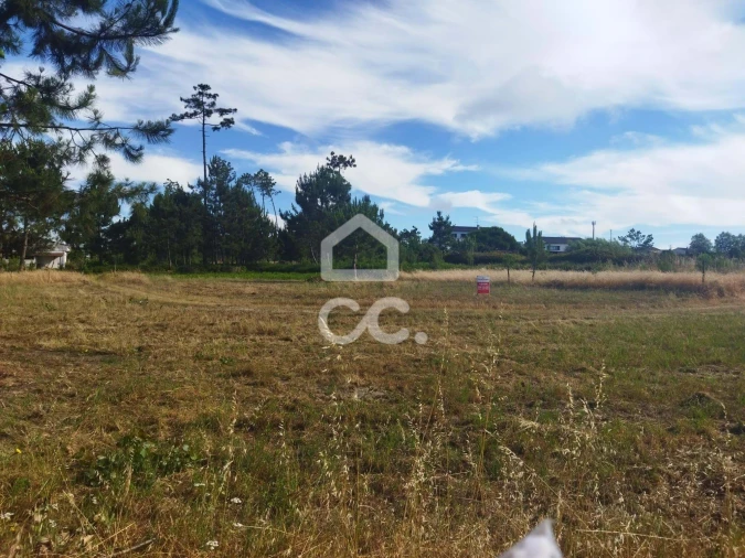 Terreno para Venda em Vieira de Leiria Foto 5
