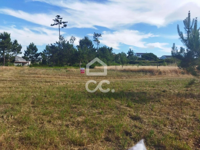 Terreno para Venda em Vieira de Leiria Foto 9