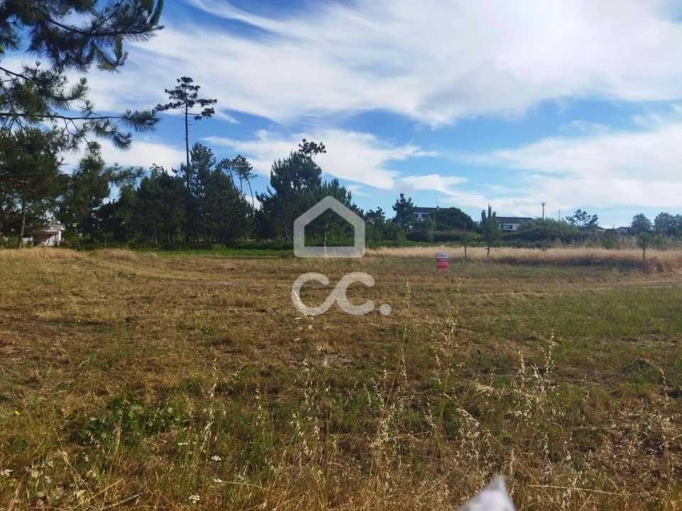 Terreno para Venda em Vieira de Leiria Foto 5