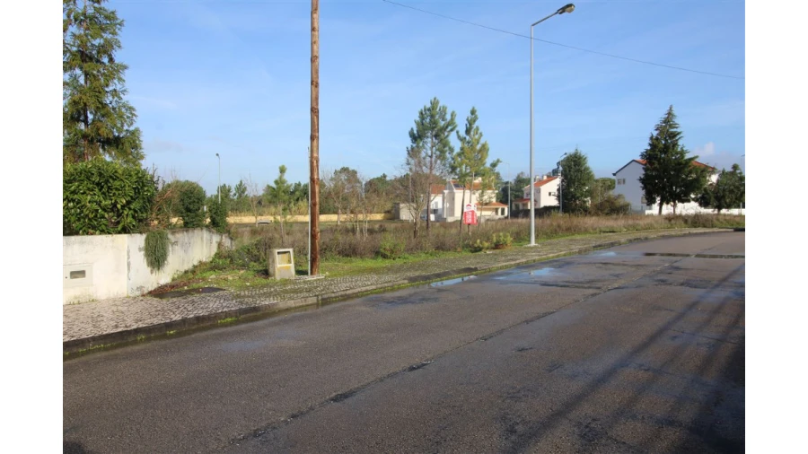 Terreno para Venda em Sebal e Belide Foto 5