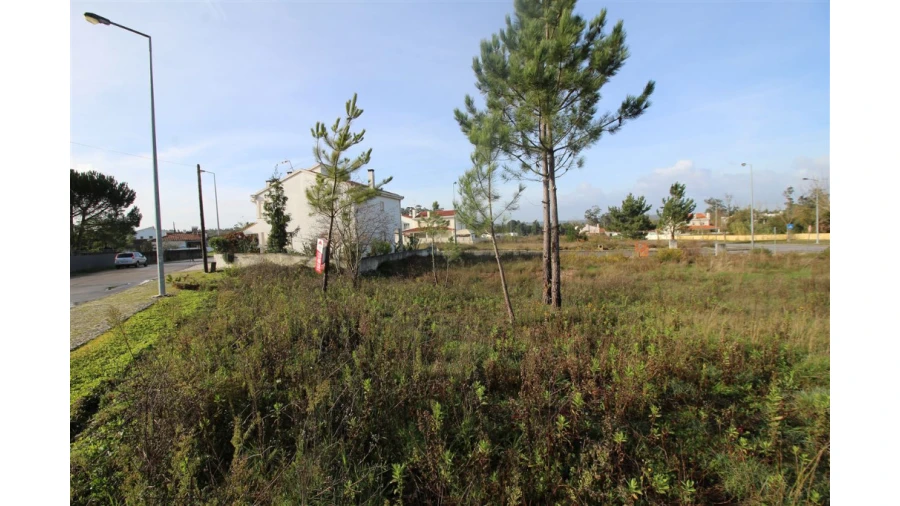 Terreno para Venda em Sebal e Belide Foto 3