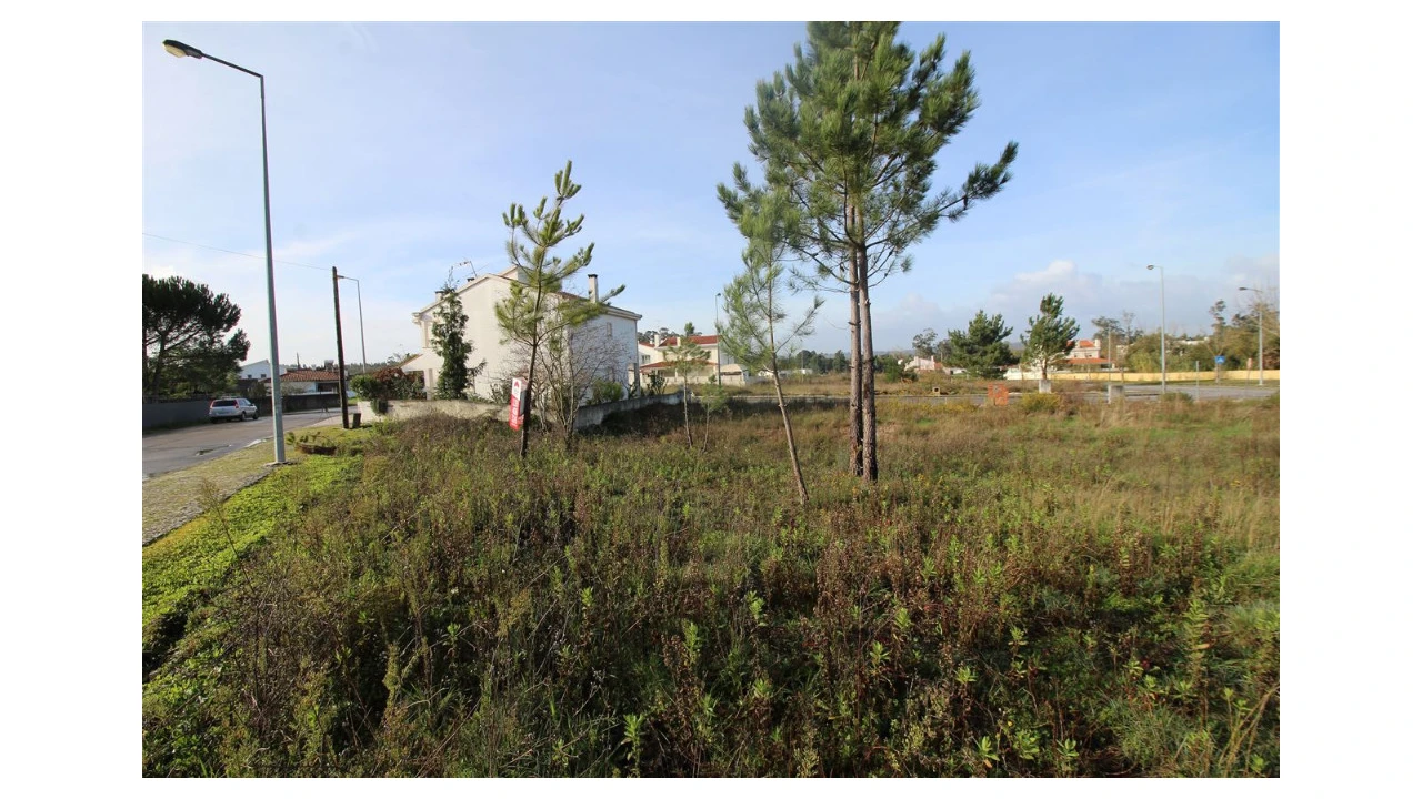 Terreno para Venda em Sebal e Belide Foto 3