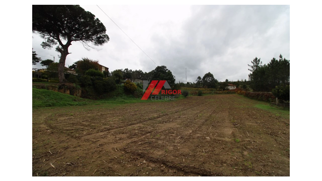 Terreno para Venda em Santo Tirso, Couto (Santa Cristina e São Miguel) e Burgães Foto 3