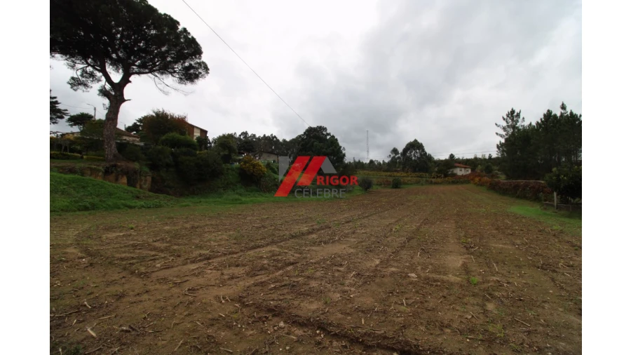 Terreno para Venda em Santo Tirso, Couto (Santa Cristina e São Miguel) e Burgães Foto 3