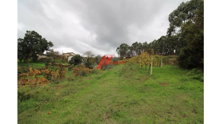 Terreno para Venda em Santo Tirso, Couto (Santa Cristina e São Miguel) e Burgães Foto 6
