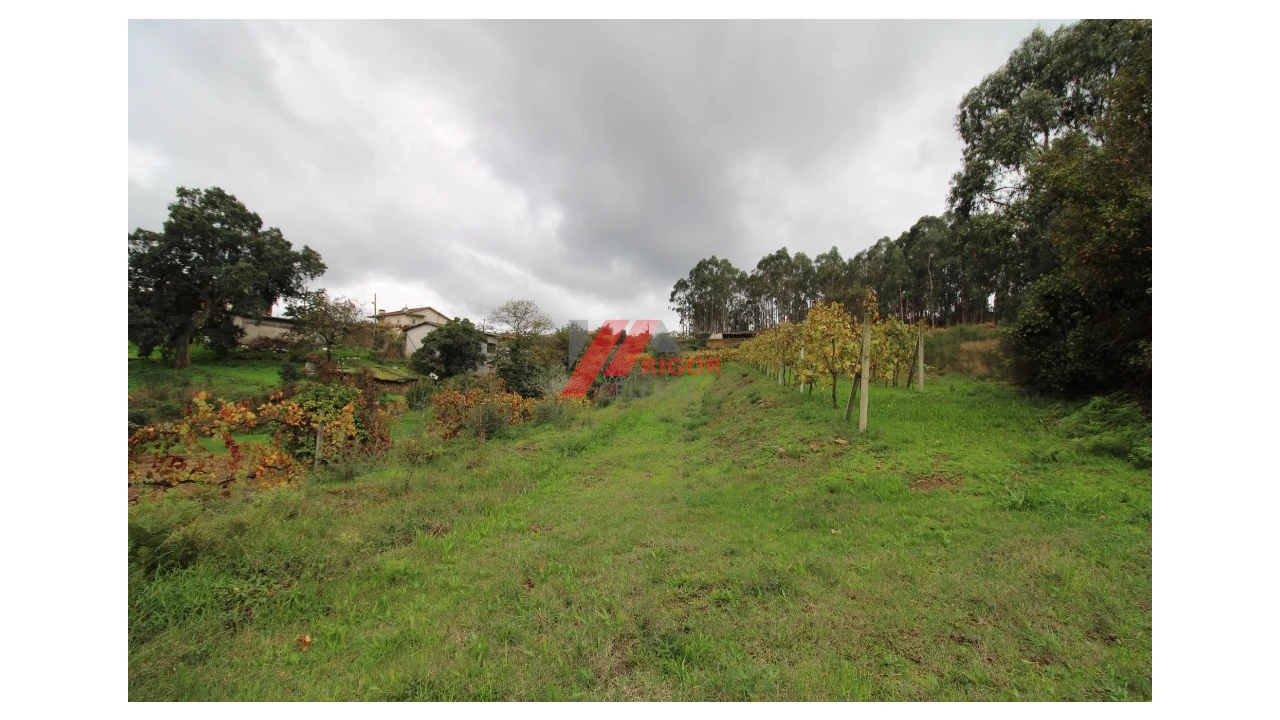 Terreno para Venda em Santo Tirso, Couto (Santa Cristina e São Miguel) e Burgães Foto 6