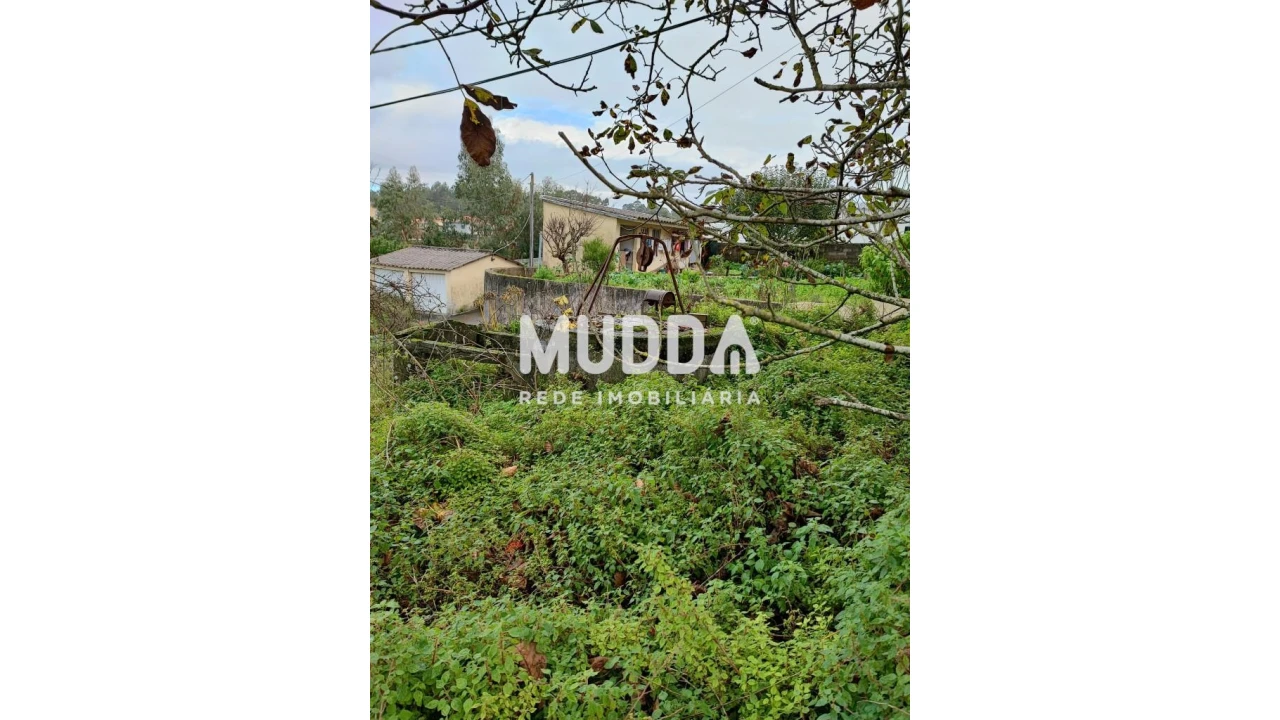 Terreno para Venda em Maceda Foto 6