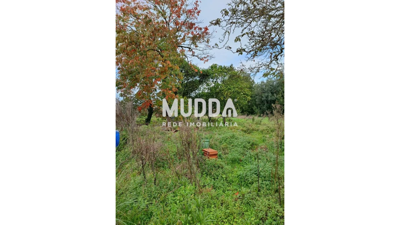 Terreno para Venda em Maceda Foto 5