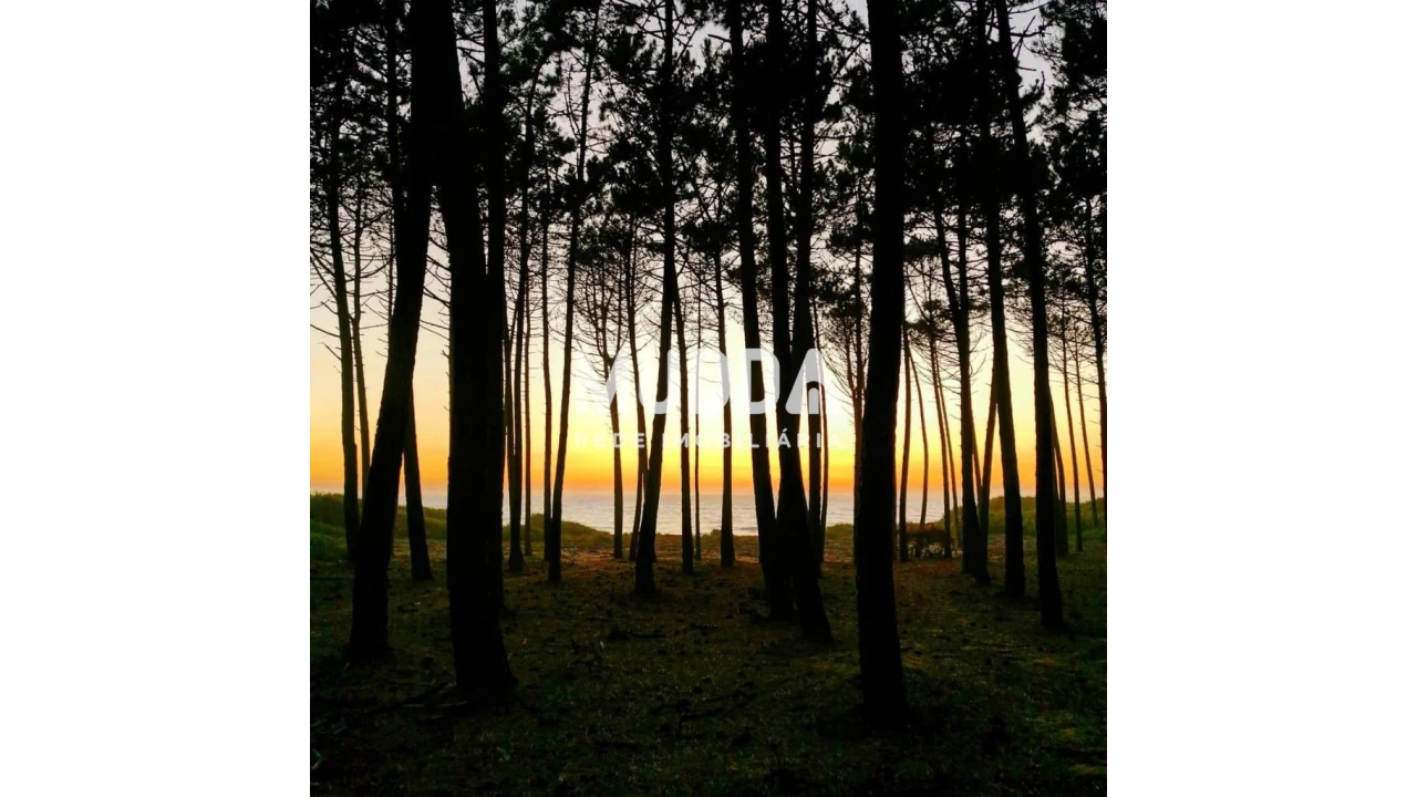 Terreno para Venda em Maceda Foto 1
