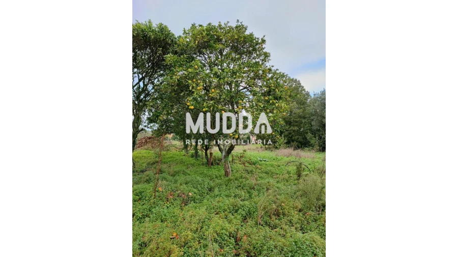 Terreno para Venda em Maceda Foto 8