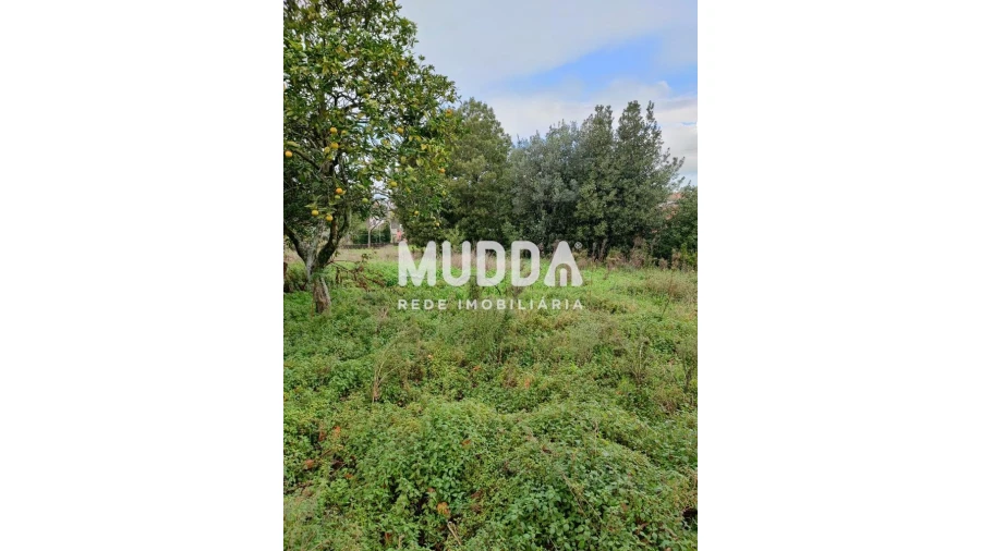 Terreno para Venda em Maceda Foto 7