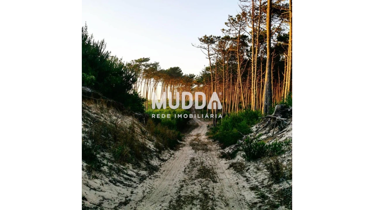 Terreno para Venda em Maceda Foto 2