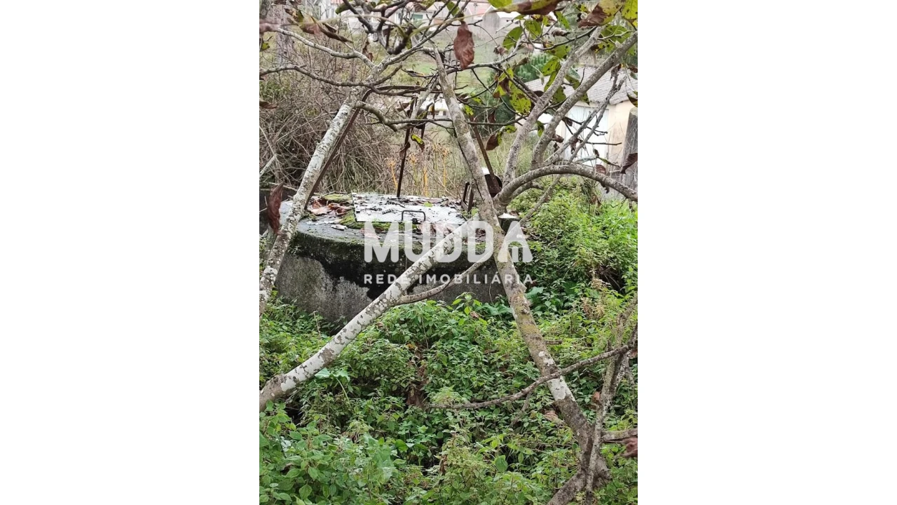 Terreno para Venda em Maceda Foto 9