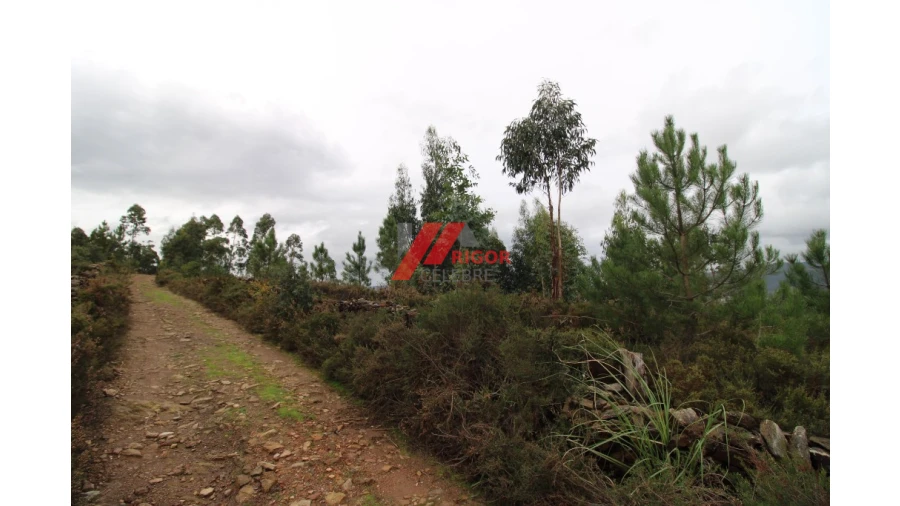 Terreno para Venda em Santo Tirso, Couto (Santa Cristina e São Miguel) e Burgães Foto 6