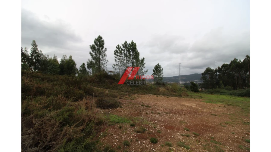 Terreno para Venda em Santo Tirso, Couto (Santa Cristina e São Miguel) e Burgães Foto 8