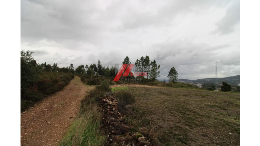 Terreno para Venda em Santo Tirso, Couto (Santa Cristina e São Miguel) e Burgães Foto 3