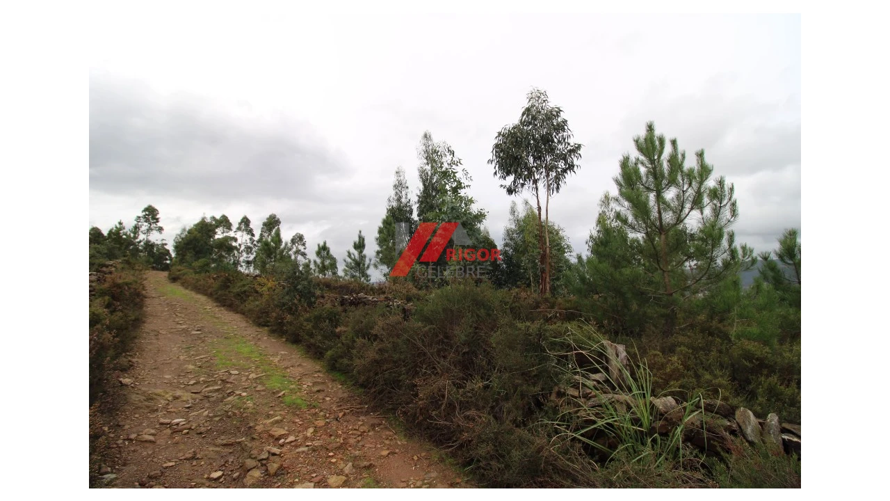Terreno para Venda em Santo Tirso, Couto (Santa Cristina e São Miguel) e Burgães Foto 6