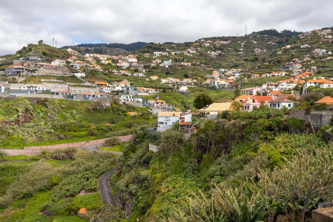 Moradia T3 para Venda em Ribeira Brava Foto 49
