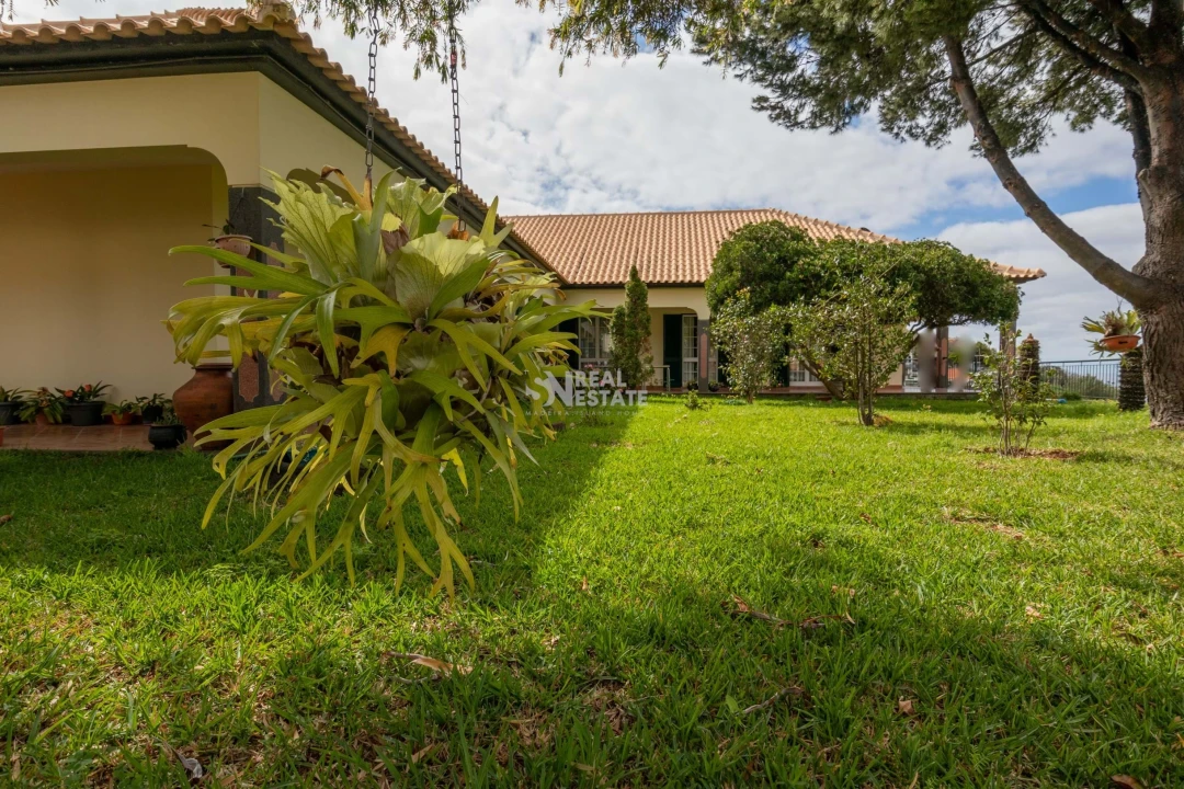 Moradia T3 para Venda em Ribeira Brava Foto 41