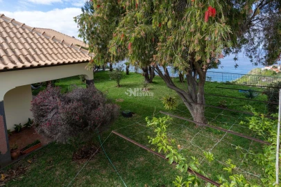 Moradia T3 para Venda em Ribeira Brava