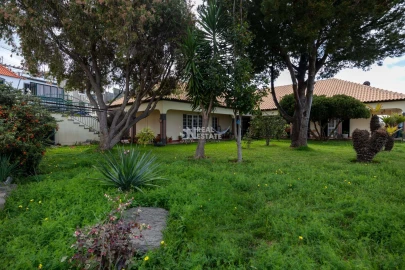 Moradia T3 para Venda em Ribeira Brava