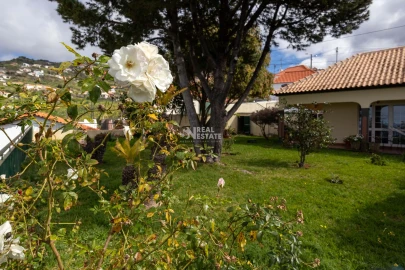 Moradia T3 para Venda em Ribeira Brava