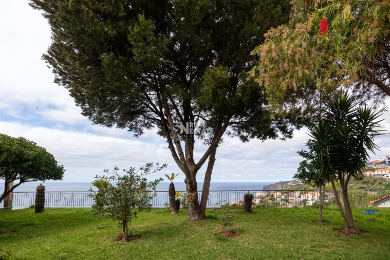 Moradia T3 para Venda em Ribeira Brava Foto 48