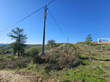 Terreno para Venda em Castelo Branco