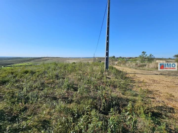 Terreno para Venda em Castelo Branco