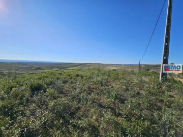 Terreno para Venda em Castelo Branco