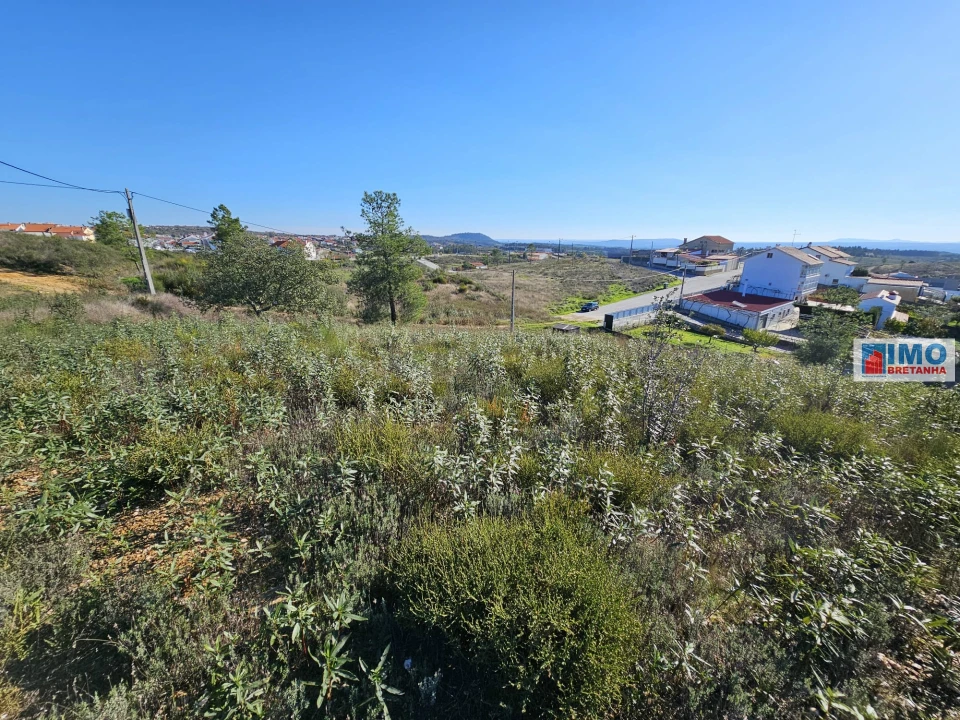 Terreno para Venda em Castelo Branco Foto 5