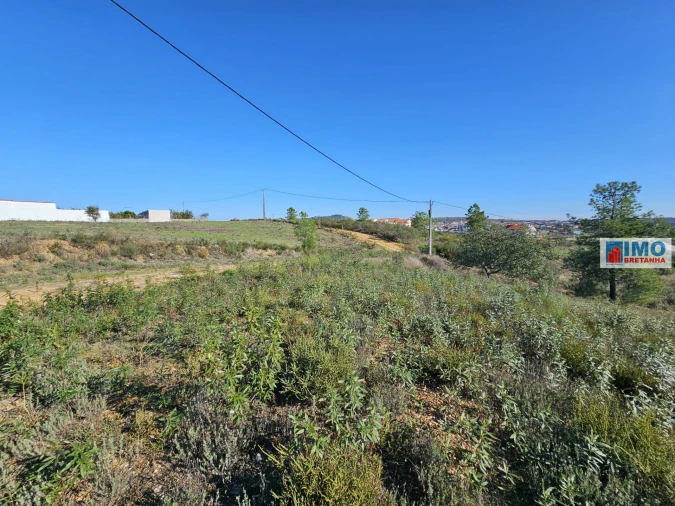 Terreno para Venda em Castelo Branco Foto 6