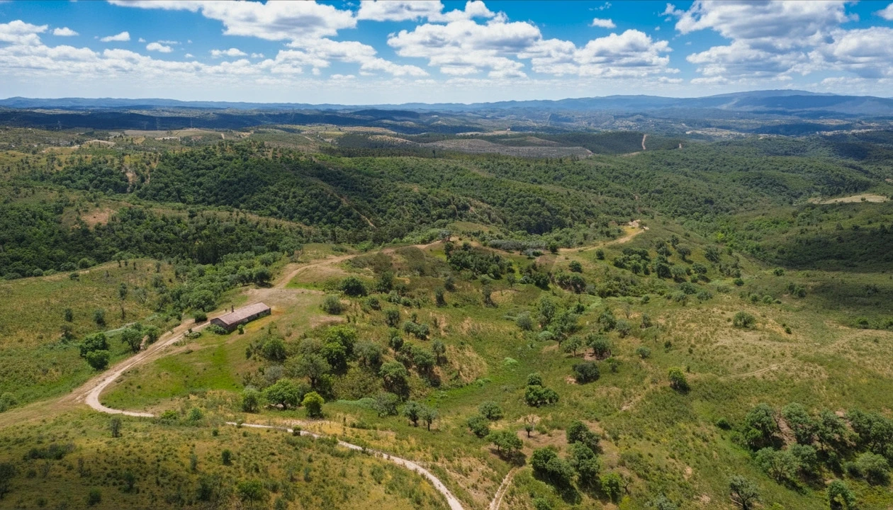 Quinta T0 para Venda em São Salvador e Santa Maria Foto 21