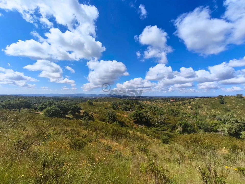 Quinta T0 para Venda em São Salvador e Santa Maria Foto 15